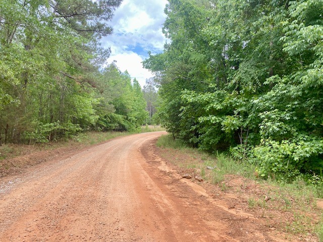 0 Pete Johnson Road Tignall, GA 30668 - Photo 39 of 43 Road Frontage access to Power and Fiber Optics