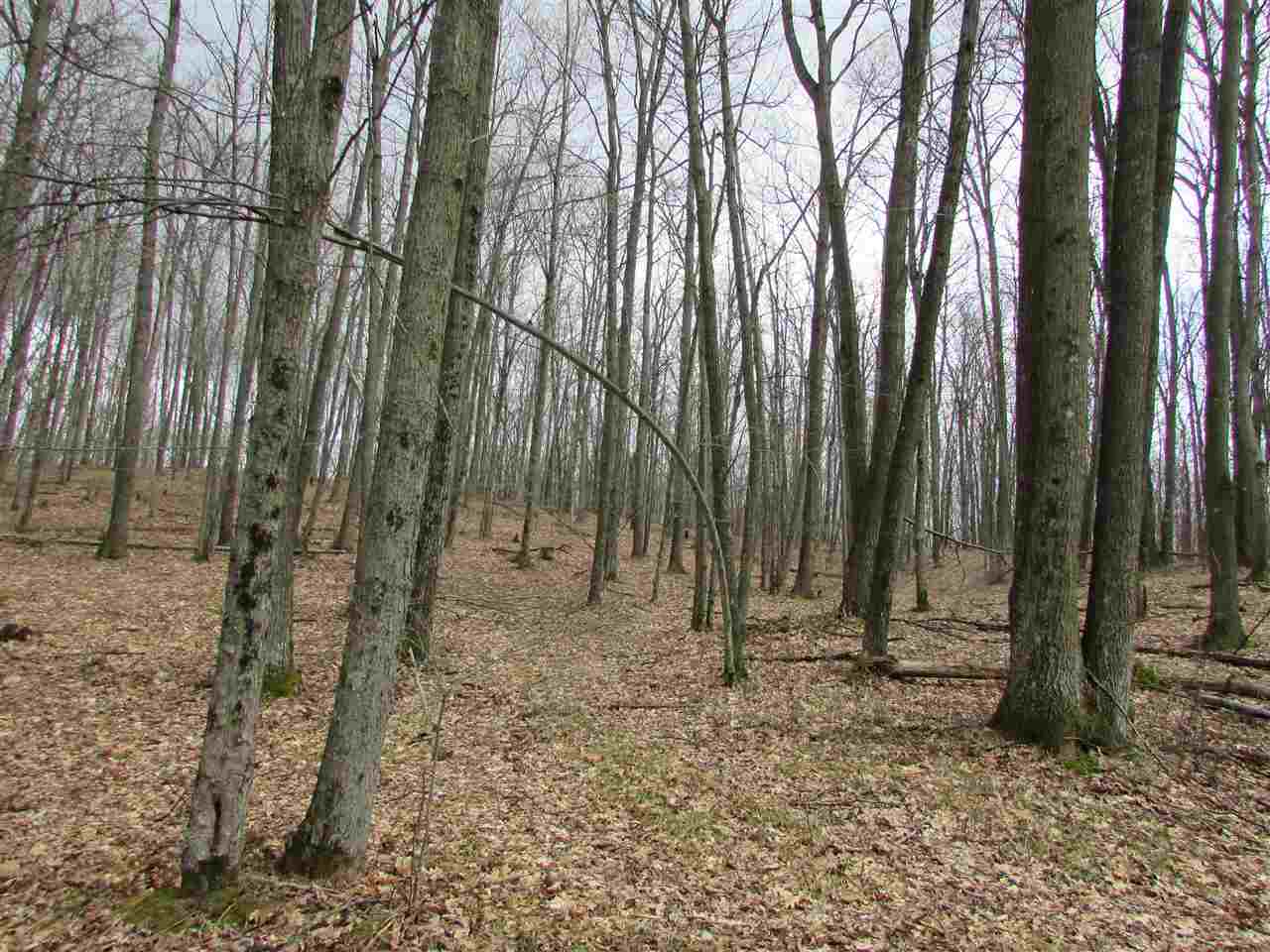 2 East Townline Lake Road Harrison, MI 48625 - Photo 6 of 13
