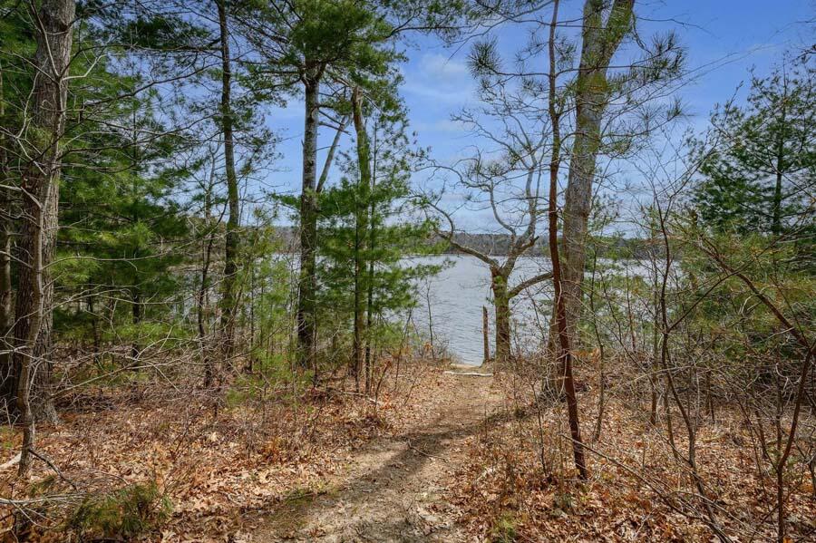 14 Arnold Road Forestdale, MA 02644 - Photo 8 of 43 a view of a yard with plants and large trees