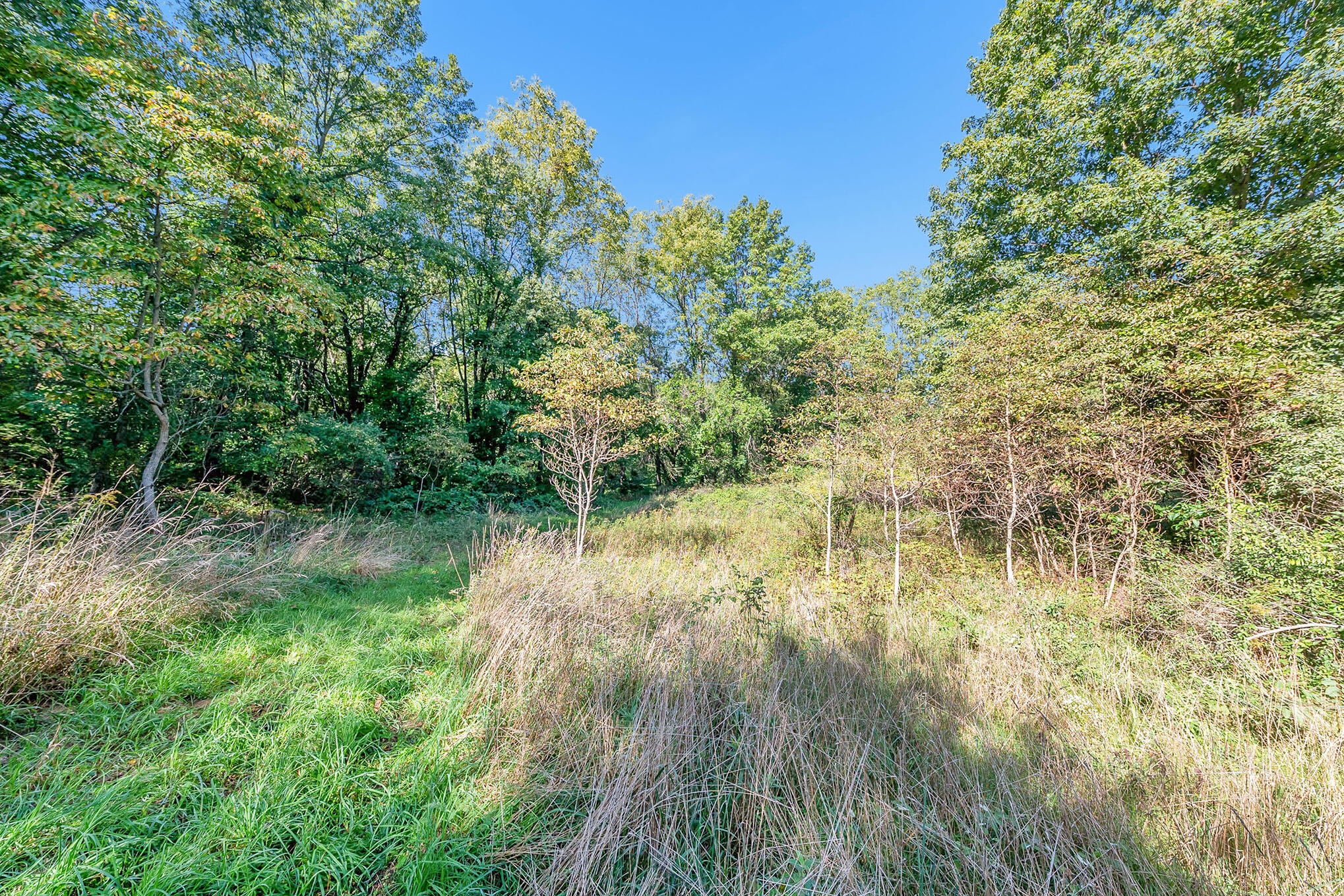 0 Hoffman Road Three Rivers, MI 49093 - Photo 13 of 25 NZ6_4088