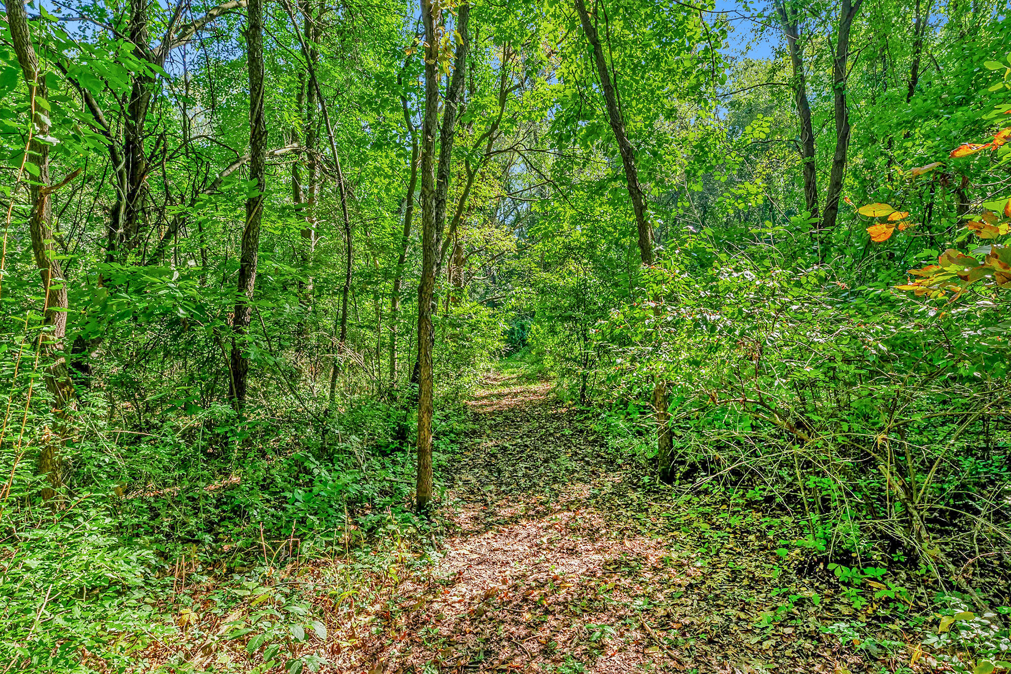 0 Hoffman Road Three Rivers, MI 49093 - Photo 2 of 25 NZ6_4082