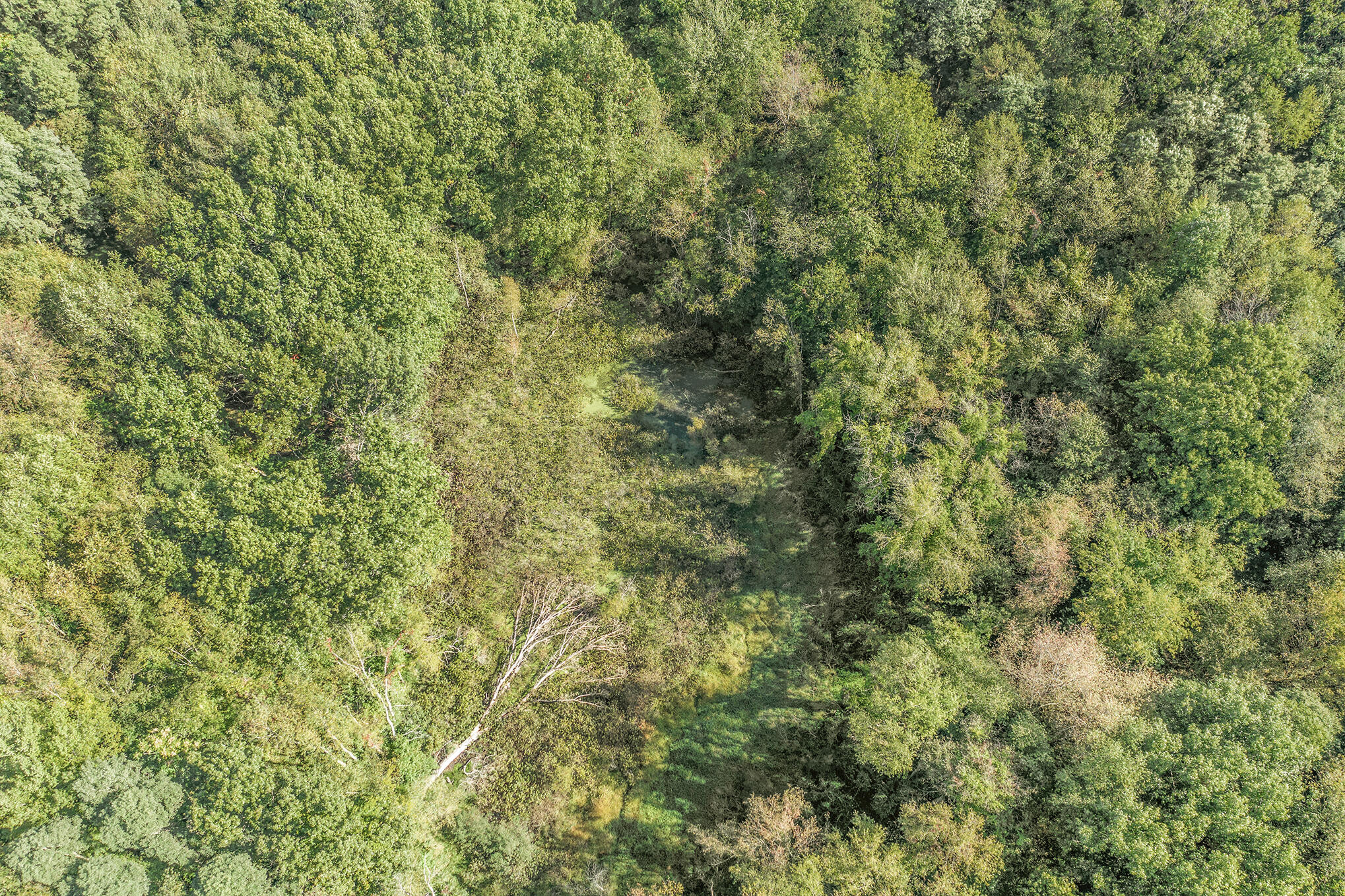 0 Hoffman Road Three Rivers, MI 49093 - Photo 22 of 25 DJI_0720