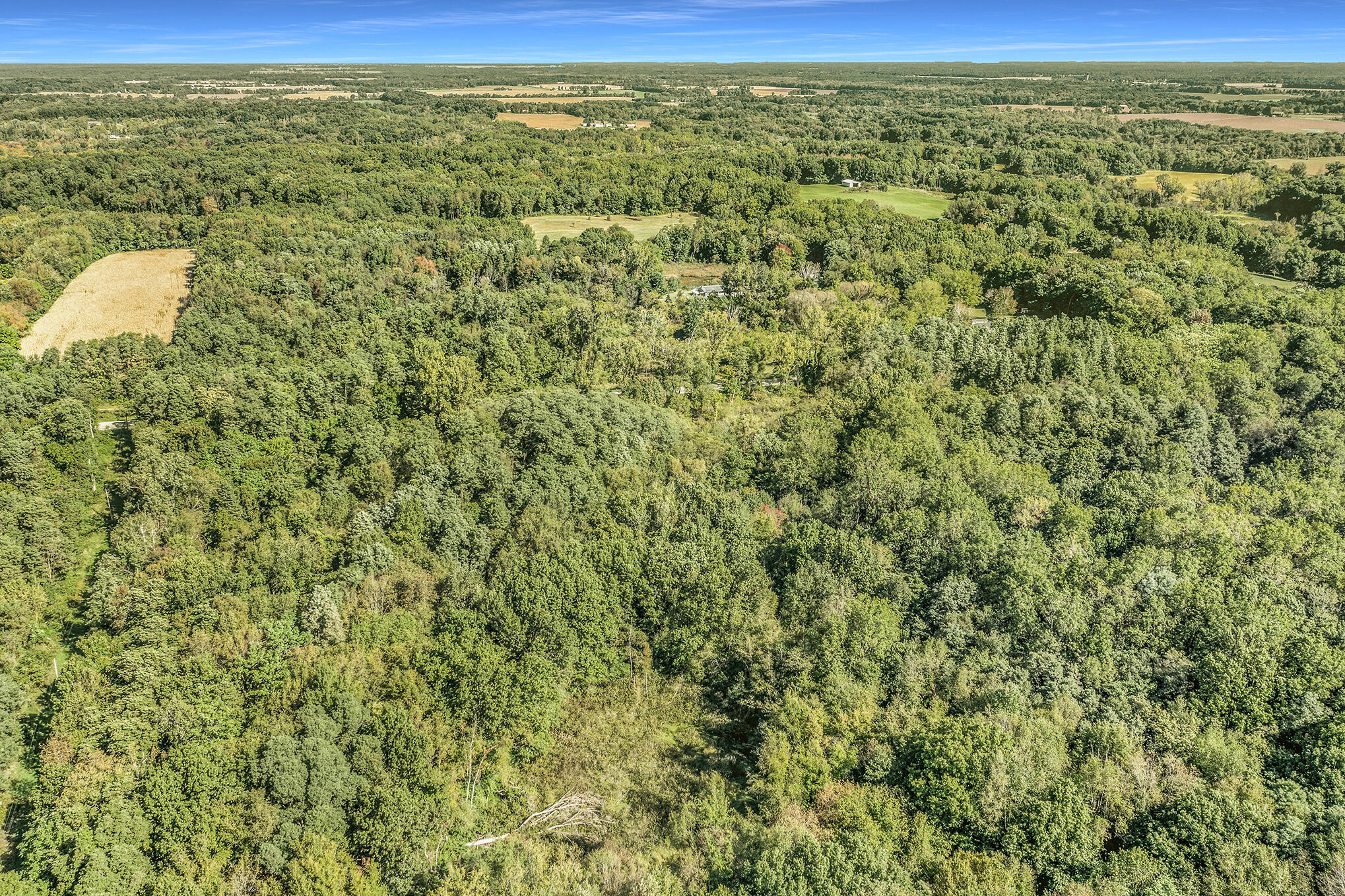 0 Hoffman Road Three Rivers, MI 49093 - Photo 23 of 25 DJI_0721