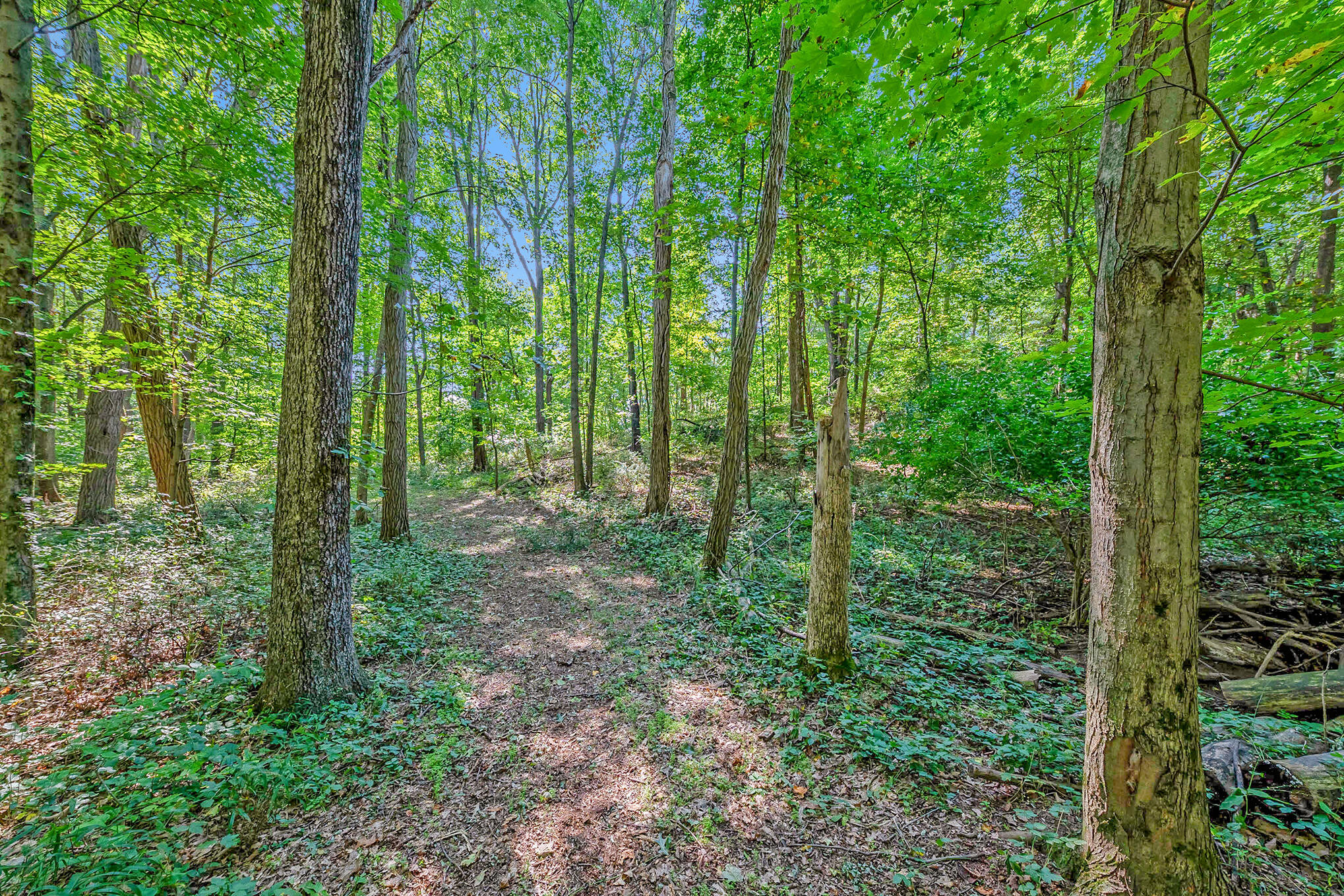 0 Hoffman Road Three Rivers, MI 49093 - Photo 3 of 25 NZ6_4092