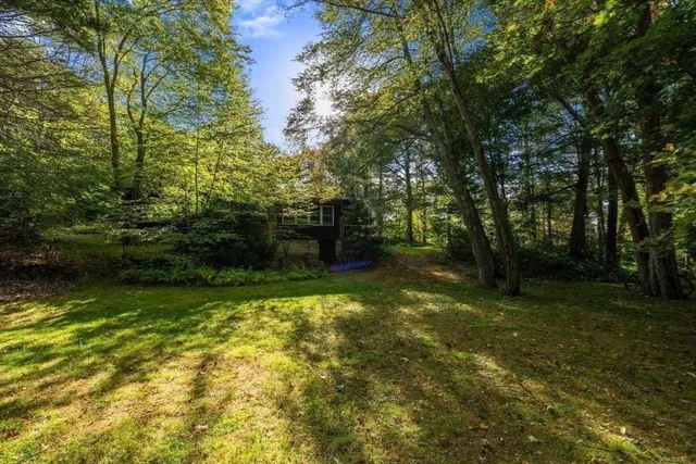 a yard with large trees