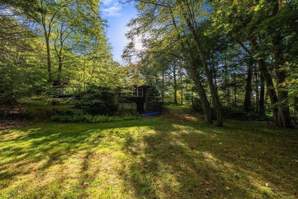 6 Highland Avenue Manchester, MA 01944 - Photo 5 of 17 a yard with large trees