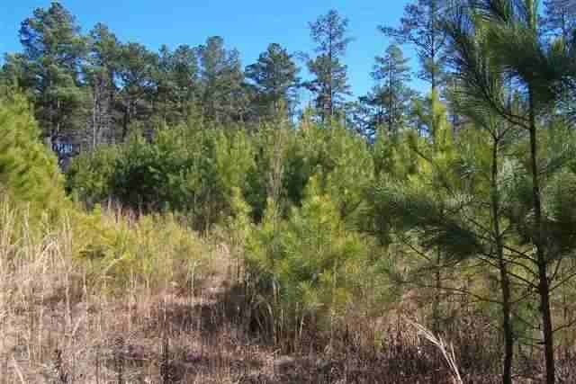 Tbd Causey Road Vass, NC 28394 - Photo 3 of 6 Additional Photo