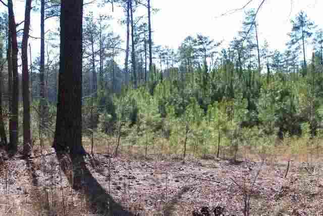 Tbd Causey Road Vass, NC 28394 - Photo 6 of 6 Additional Photo
