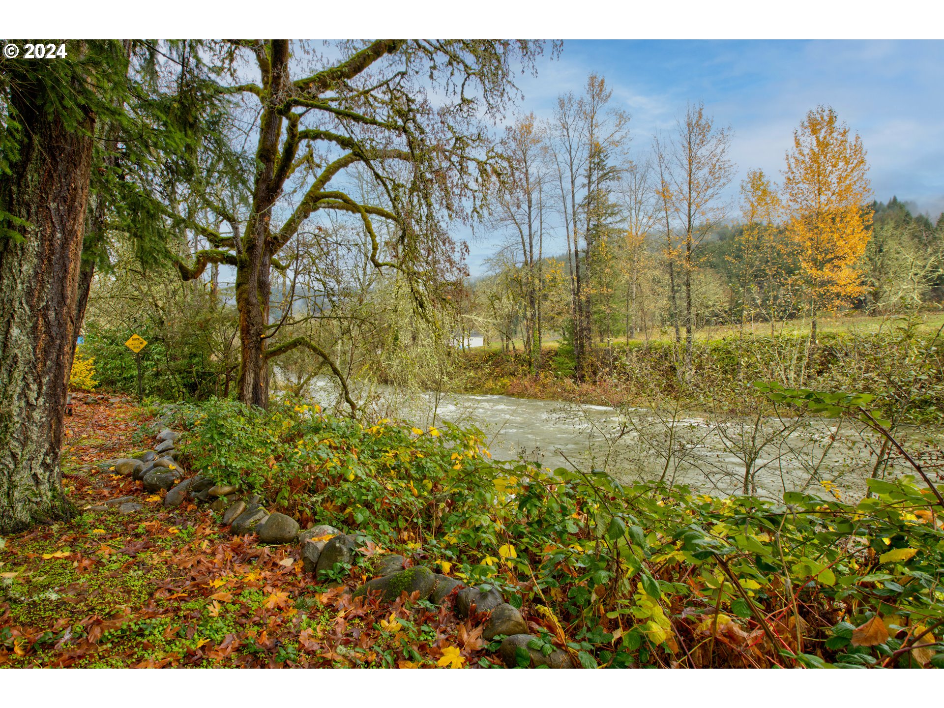 75743 Booth Kelly Camp Road Dorena, OR 97434 - Photo 2 of 45