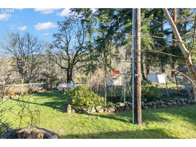 a view of a backyard with large trees