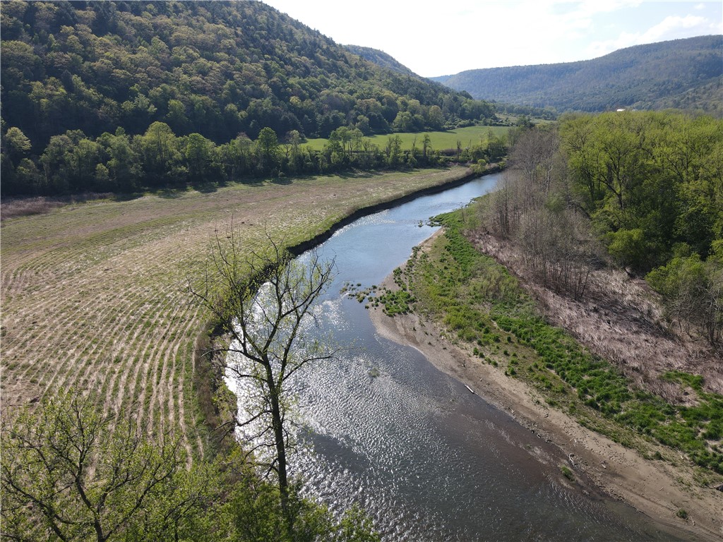 Lot 3 McChesney Road Cameron, NY 14819 - Photo 16 of 21