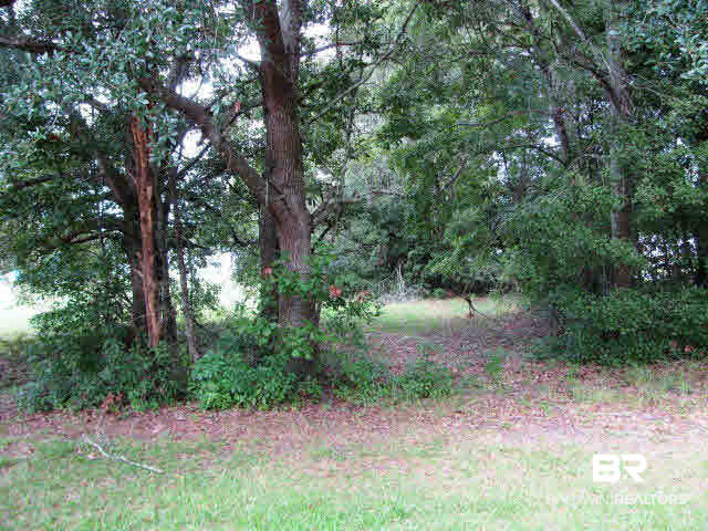 0 East Myrtle Avenue East Foley, AL 36535 - Photo 1 of 1