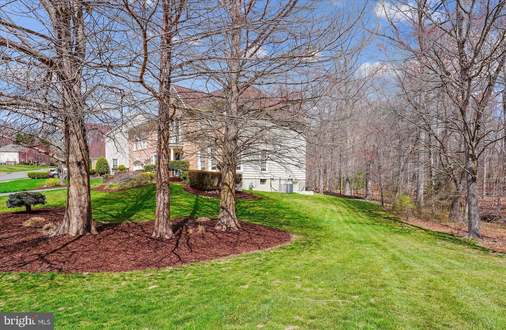 8535 Oak Chase Circle Fairfax Station, VA 22039 - Photo 3 of 62 a view of a garden with a tree