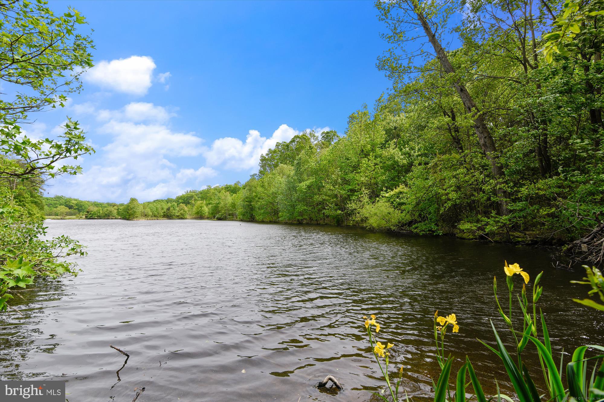 8535 Oak Chase Circle Fairfax Station, VA 22039 - Photo 60 of 62 a view of a lake