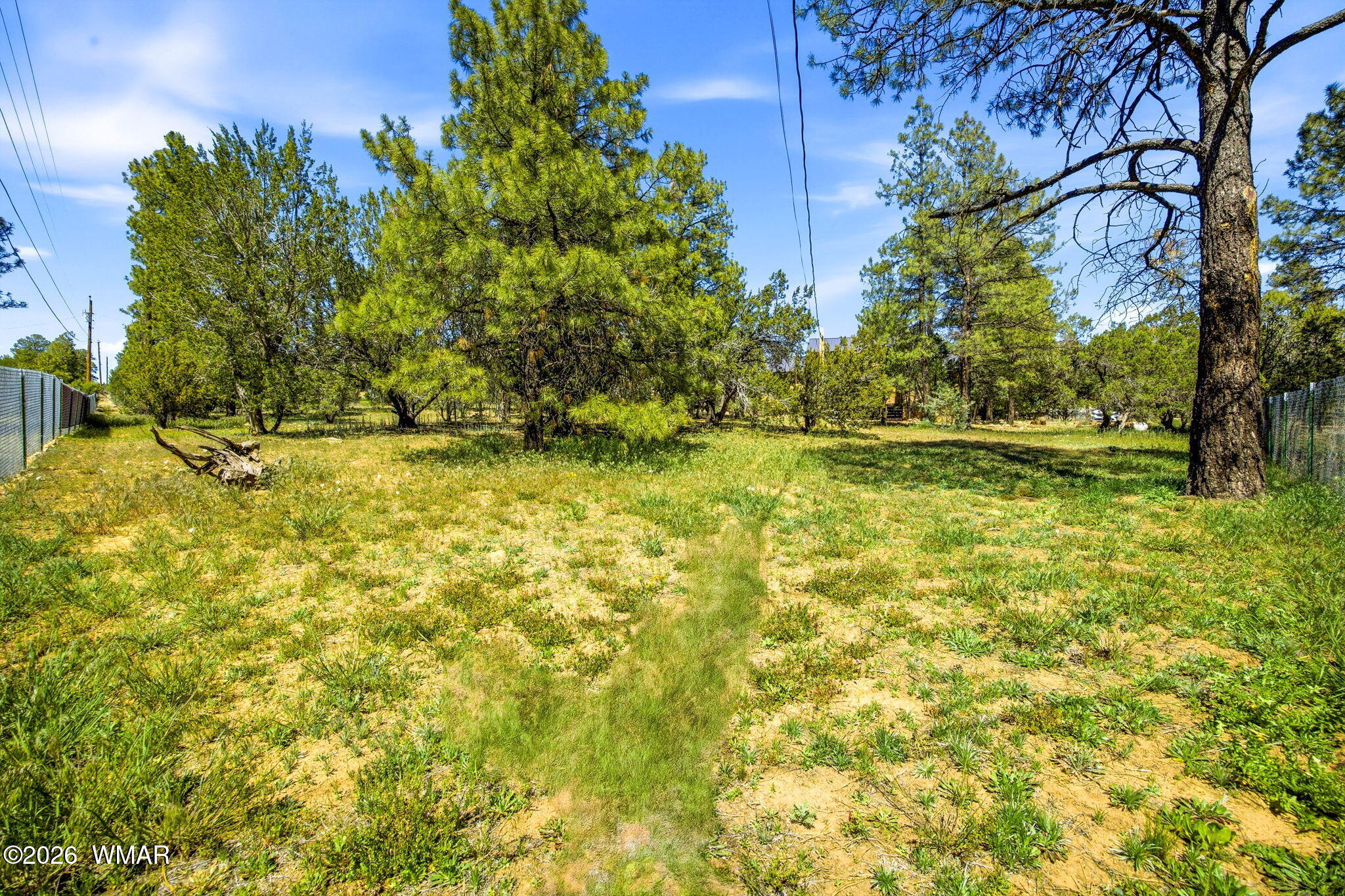 2860 Wildcat Trail Overgaard, AZ 85933 - Photo 25 of 37 a view of a yard with an outdoor space