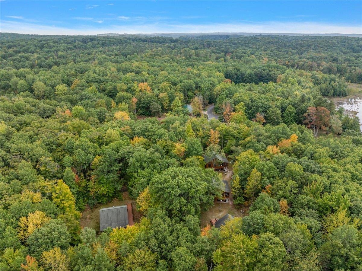 3943 North Skookum Road Luther, MI 49656 - Photo 59 of 67