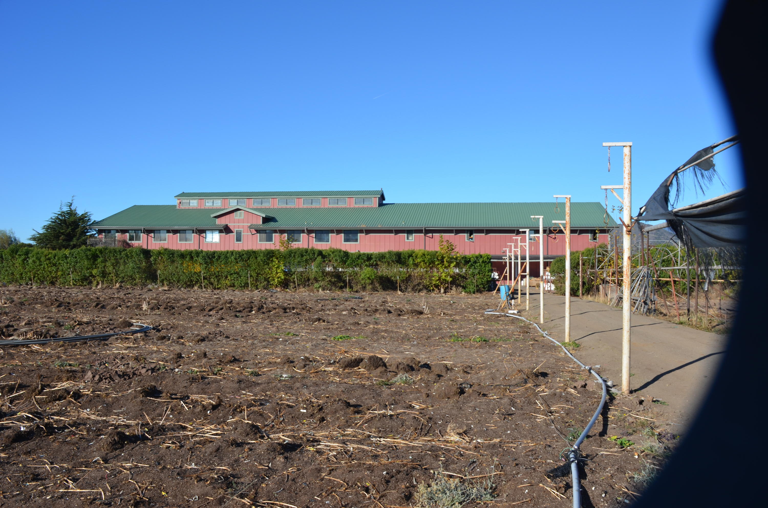 5360 Foothill Road Carpinteria, CA 93013 - Photo 9 of 10 DSC_0123