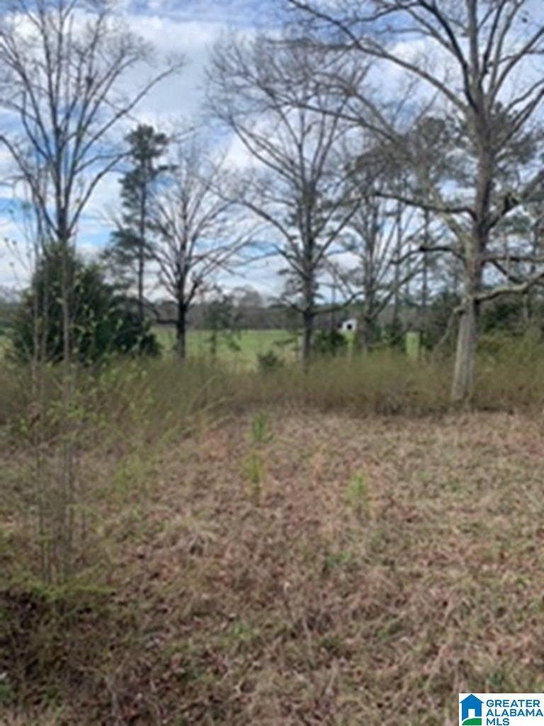 0 Truss Ferry Road, Unit 1 Lincoln, AL 35096 - Photo 6 of 11