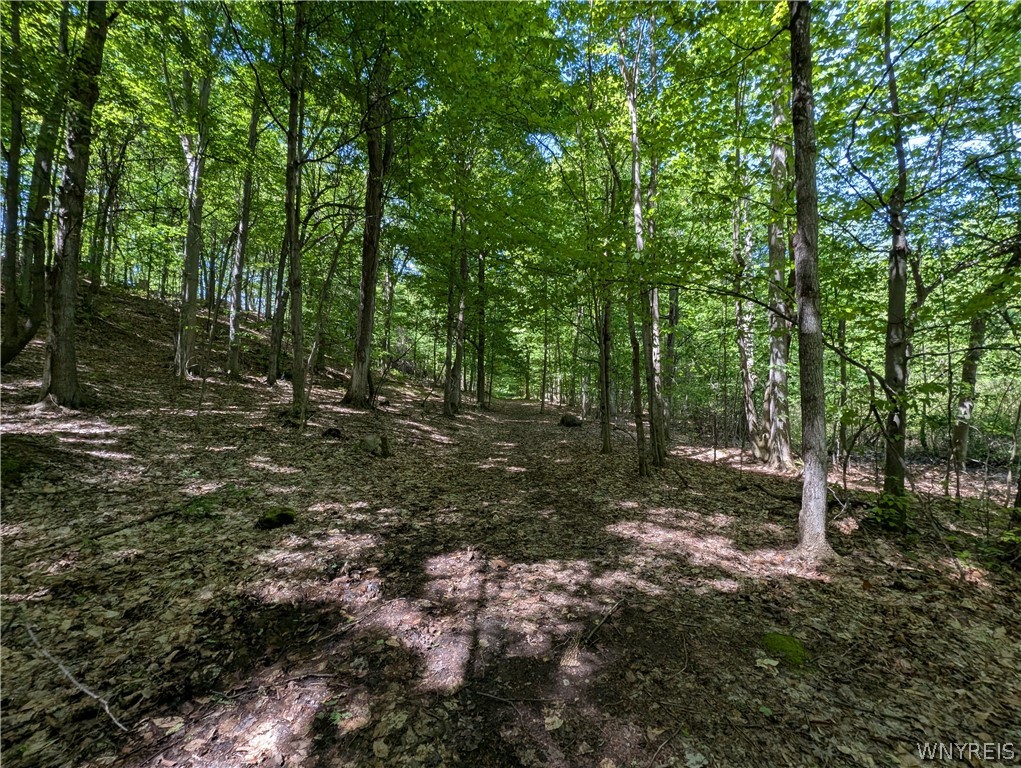 540 Shumway Road Sweden, NY 14420 - Photo 47 of 50