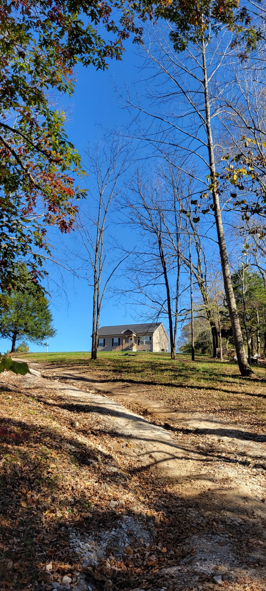 113 Buttrey Road Dickson, TN 37055 - Photo 5 of 25 Gallery Image 5