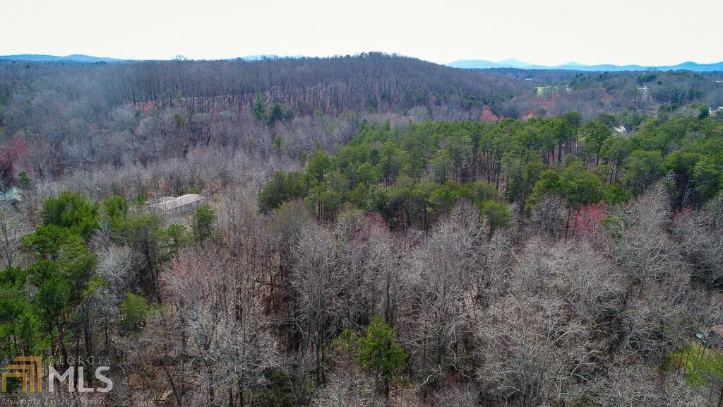 1010 Kinsey Town Road Cleveland, GA 30528 - Photo 1 of 1