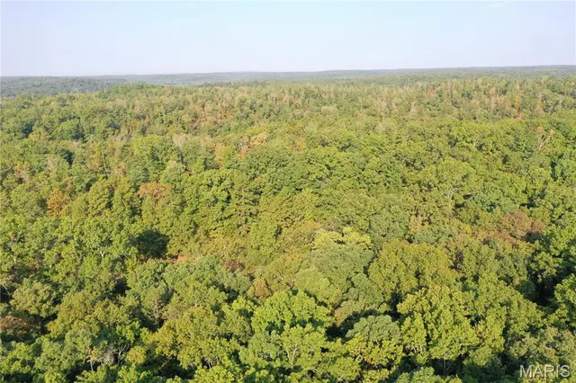 $49,900 | 3 Highway 34 Silva Mo 63964, Greenville, MO 63944