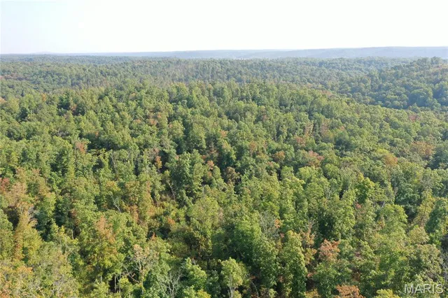 $49,900 | 3 Highway 34 Silva Mo 63964, Greenville, MO 63944