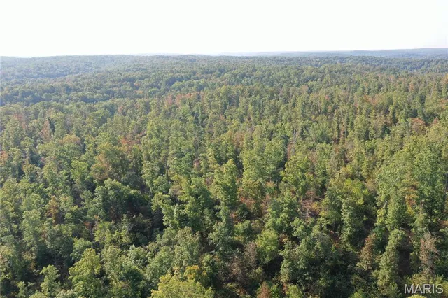 $49,900 | 3 Highway 34 Silva Mo 63964, Greenville, MO 63944