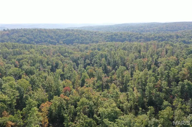 $49,900 | 3 Highway 34 Silva Mo 63964, Greenville, MO 63944