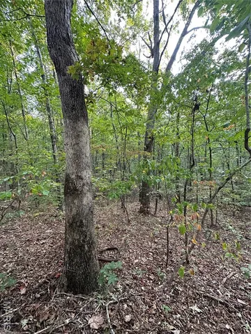 $49,900 | 3 Highway 34 Silva Mo 63964, Greenville, MO 63944