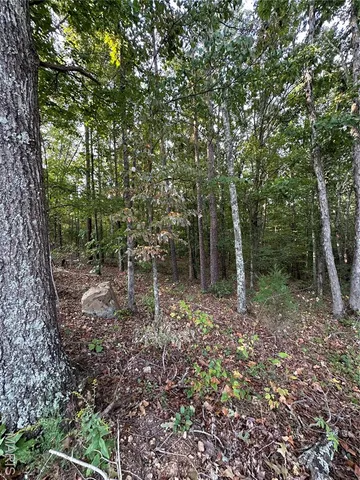 $49,900 | 3 Highway 34 Silva Mo 63964, Greenville, MO 63944