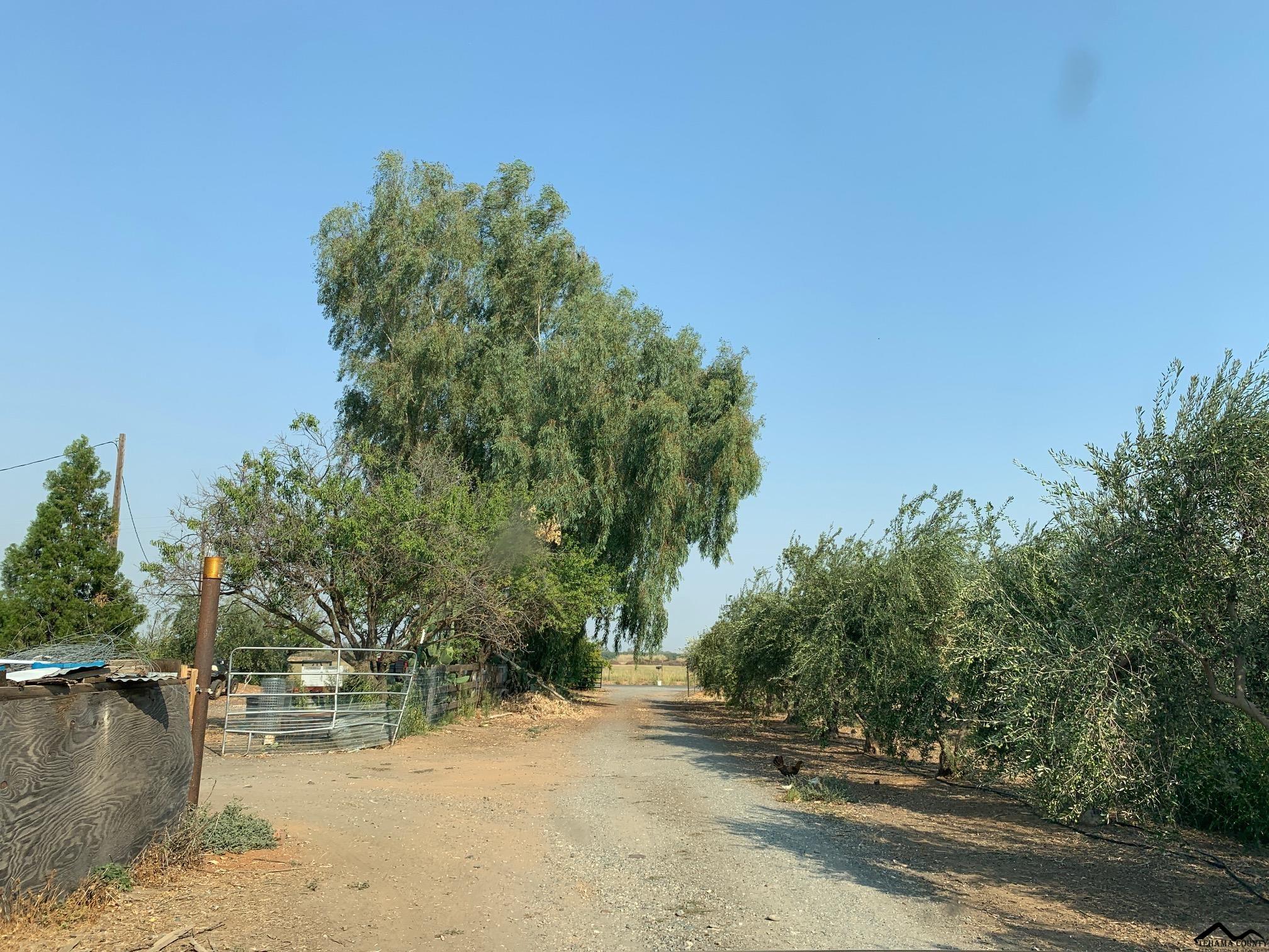 4185 Rawson Road Corning, CA 96021 - Photo 10 of 12 Gallery Image 10