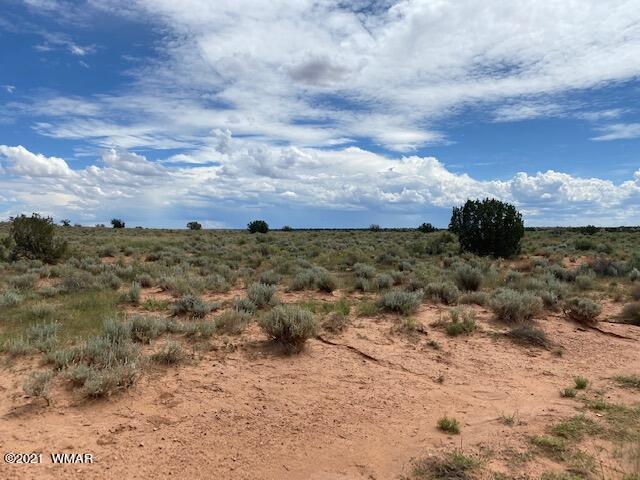 5175 Snowflake-woodruff Road Road Snowflake, AZ 85937 - Photo 1 of 6