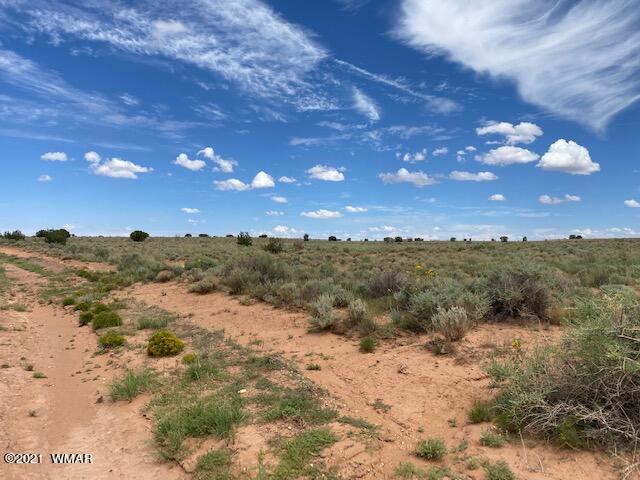 5175 Snowflake-woodruff Road Road Snowflake, AZ 85937 - Photo 2 of 6