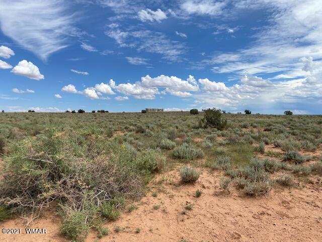 5175 Snowflake-woodruff Road Road Snowflake, AZ 85937 - Photo 3 of 6