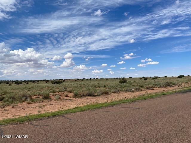 5175 Snowflake-woodruff Road Road Snowflake, AZ 85937 - Photo 5 of 6
