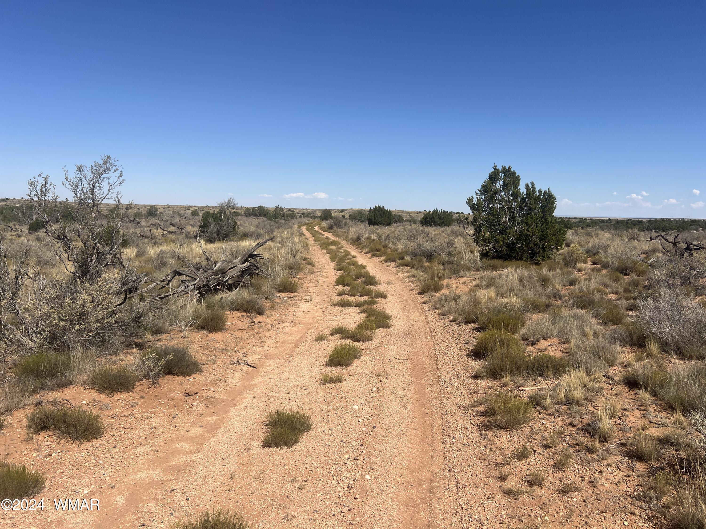 Six Mile Draw Road Snowflake, AZ 85937 - Photo 1 of 9 view
