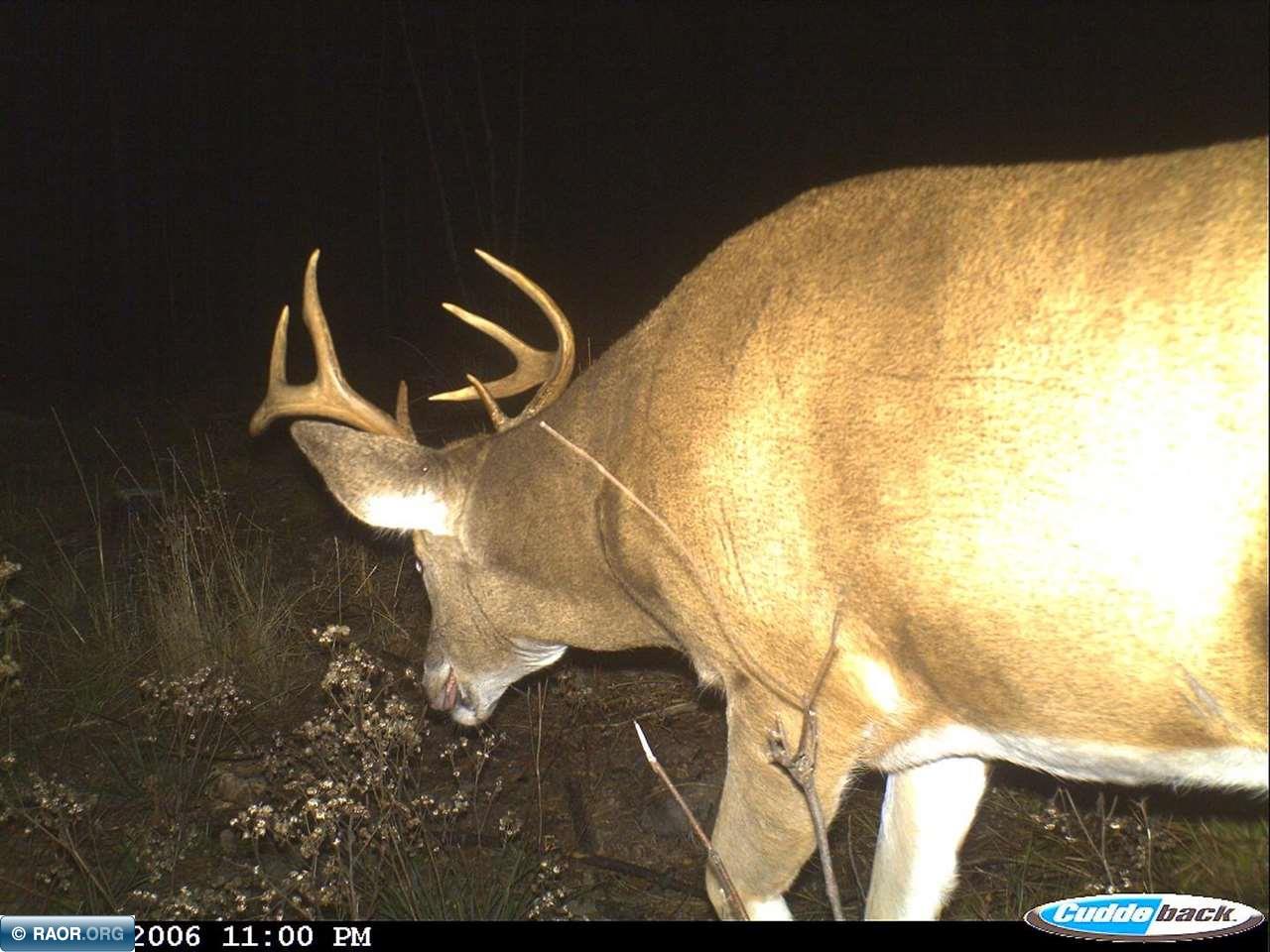 Tbd Mud Hole Road Side Lake, MN 55781 - Photo 23 of 24