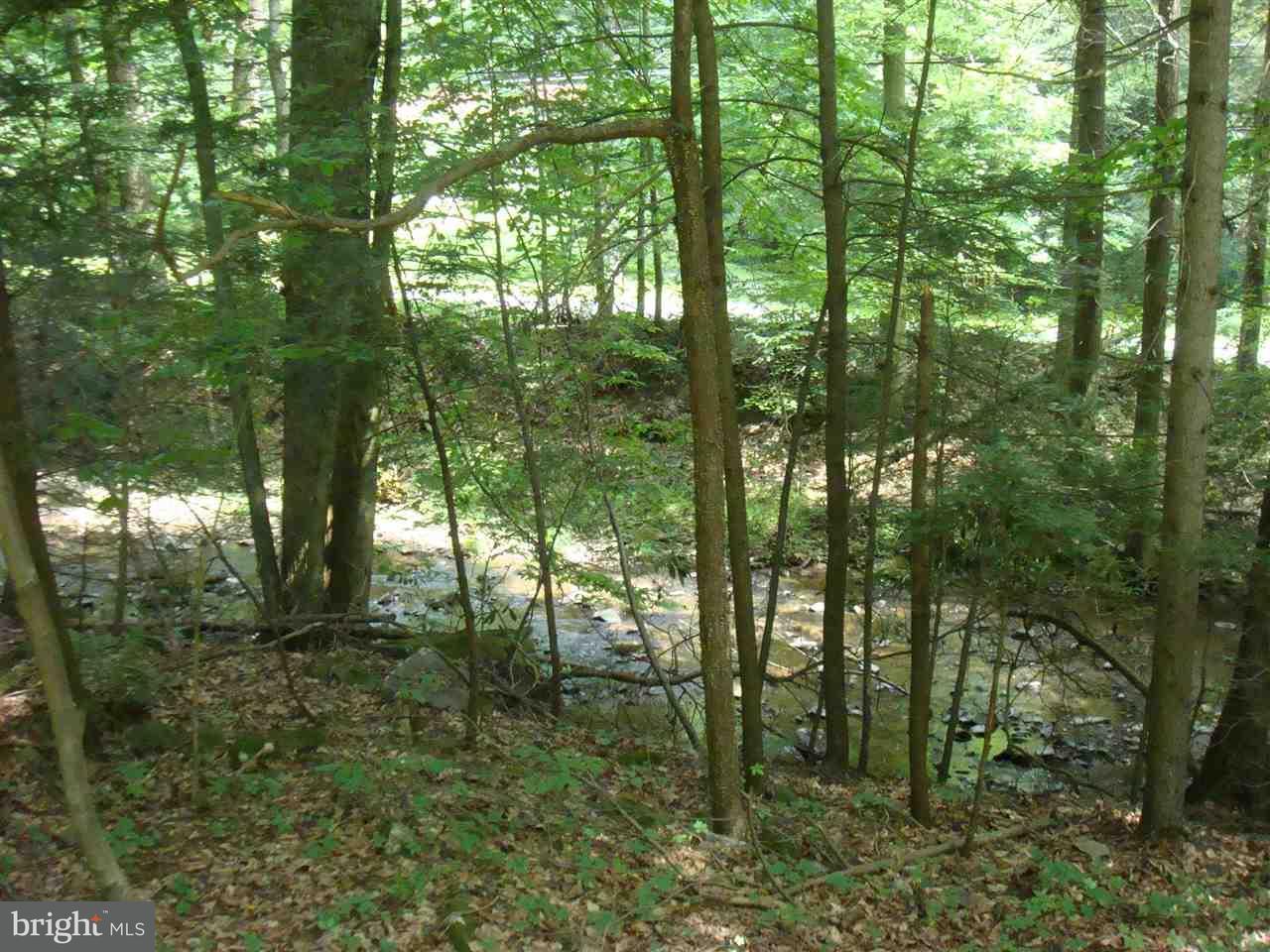 1400 Mt Hope Road Fairfield, PA 17320 - Photo 29 of 35