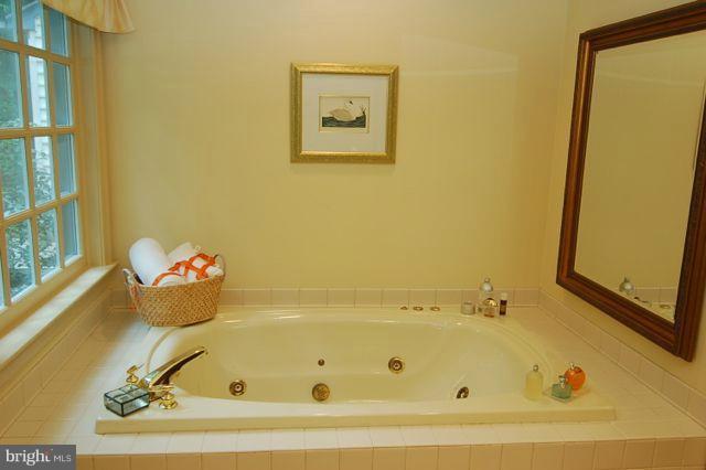 Master Tub