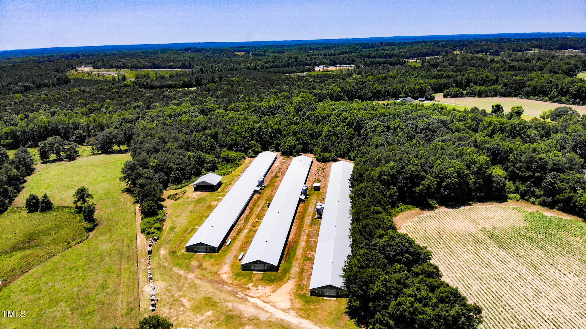 a view of a swimming pool with a yard