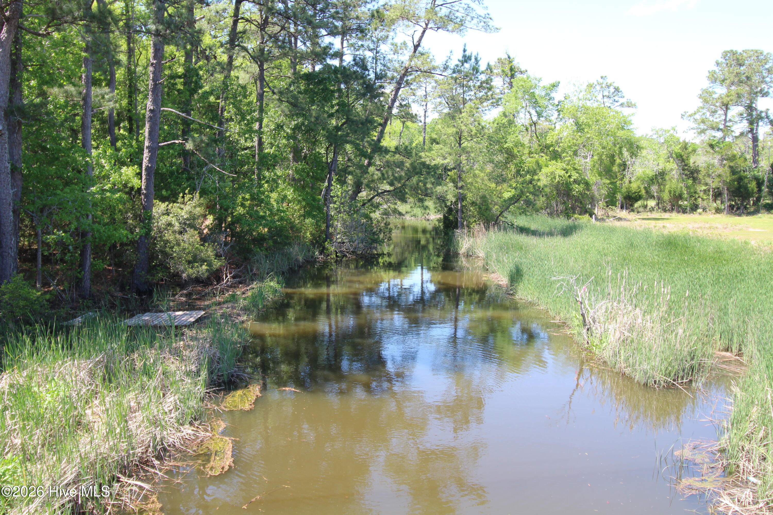 223 Bear Creek Road Hubert, NC 28539 - Photo 11 of 12 IMG_7580