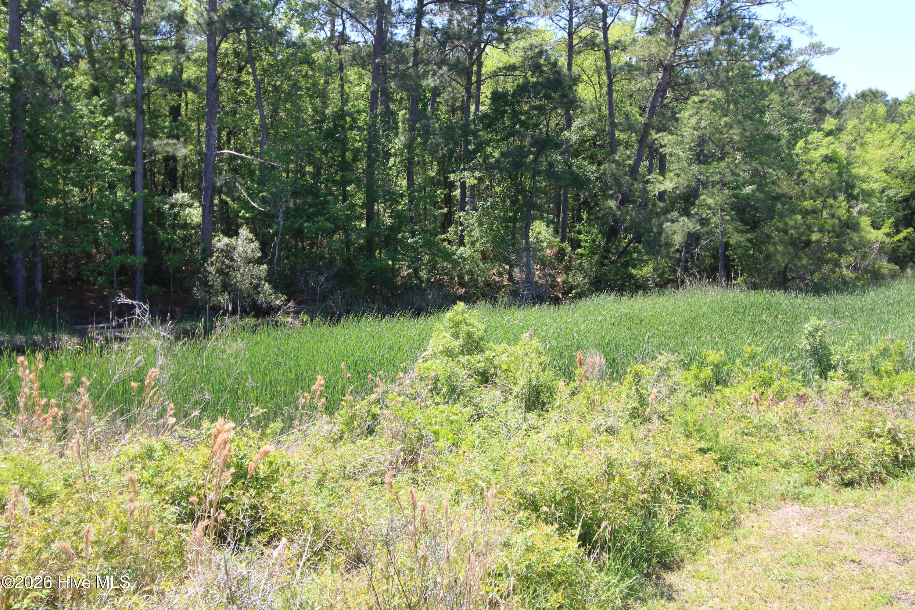 223 Bear Creek Road Hubert, NC 28539 - Photo 6 of 12 IMG_7574