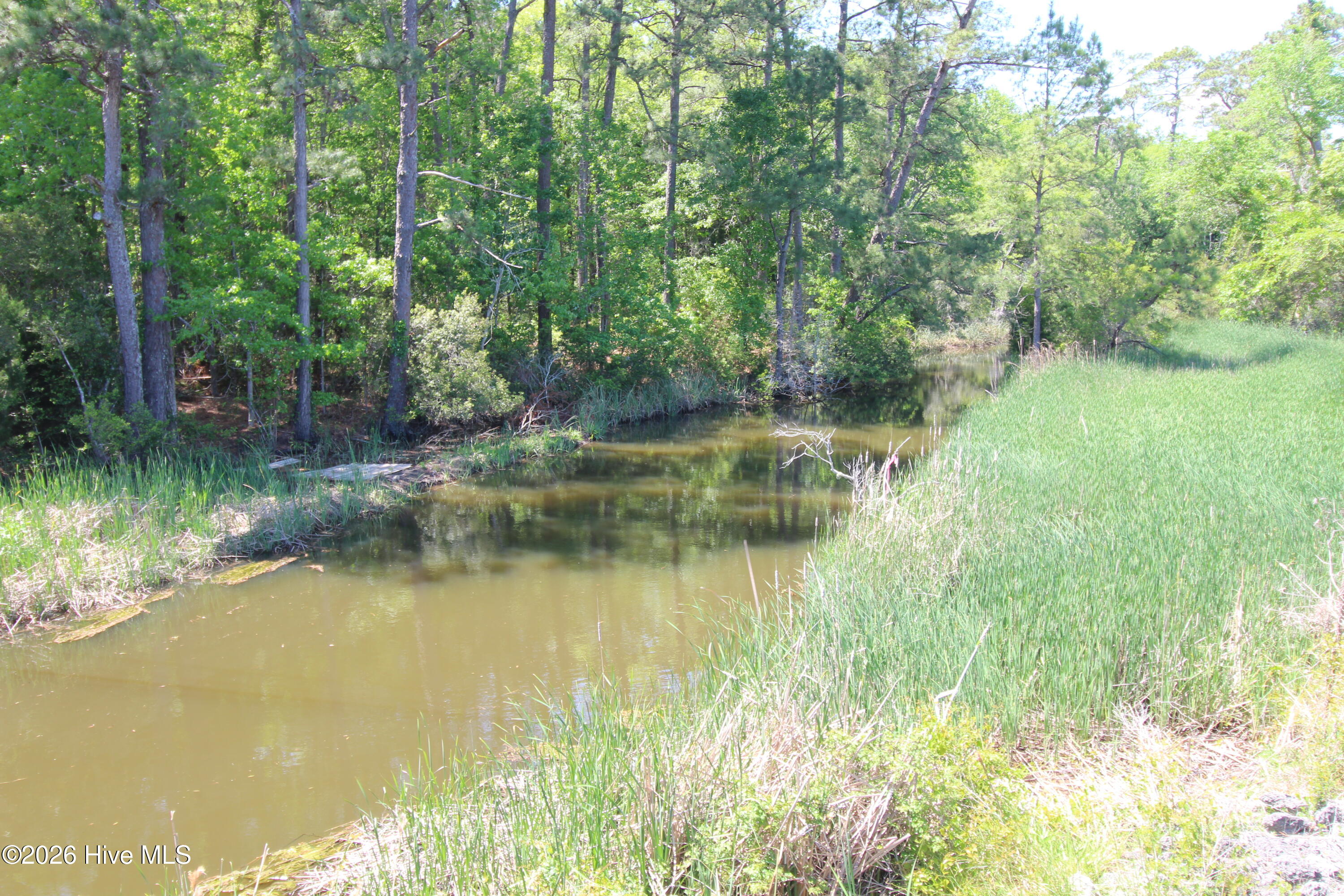 223 Bear Creek Road Hubert, NC 28539 - Photo 9 of 12 IMG_7577
