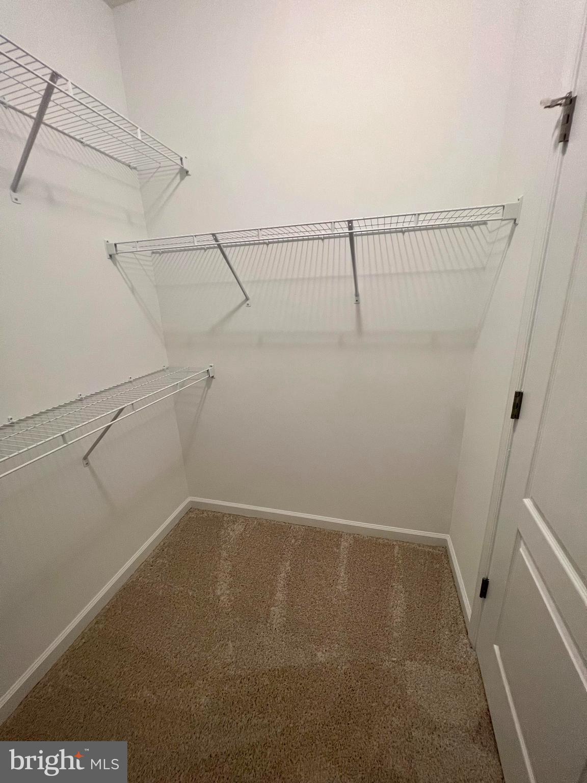 3141 Eton Place Winchester, VA 22601 - Photo 22 of 41 a view of a room with racks on the wall