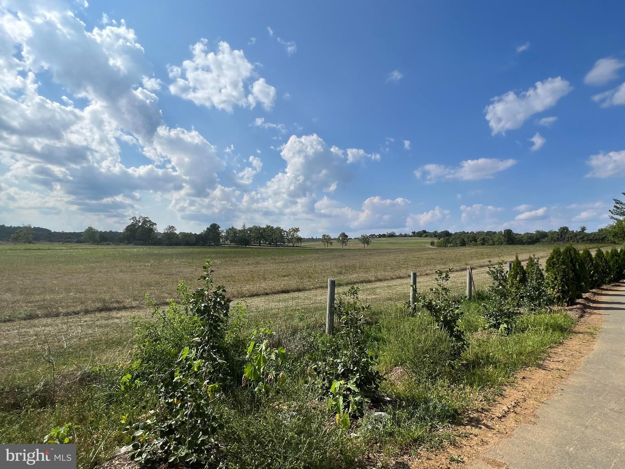 3141 Eton Place Winchester, VA 22601 - Photo 37 of 41 a view of a lake