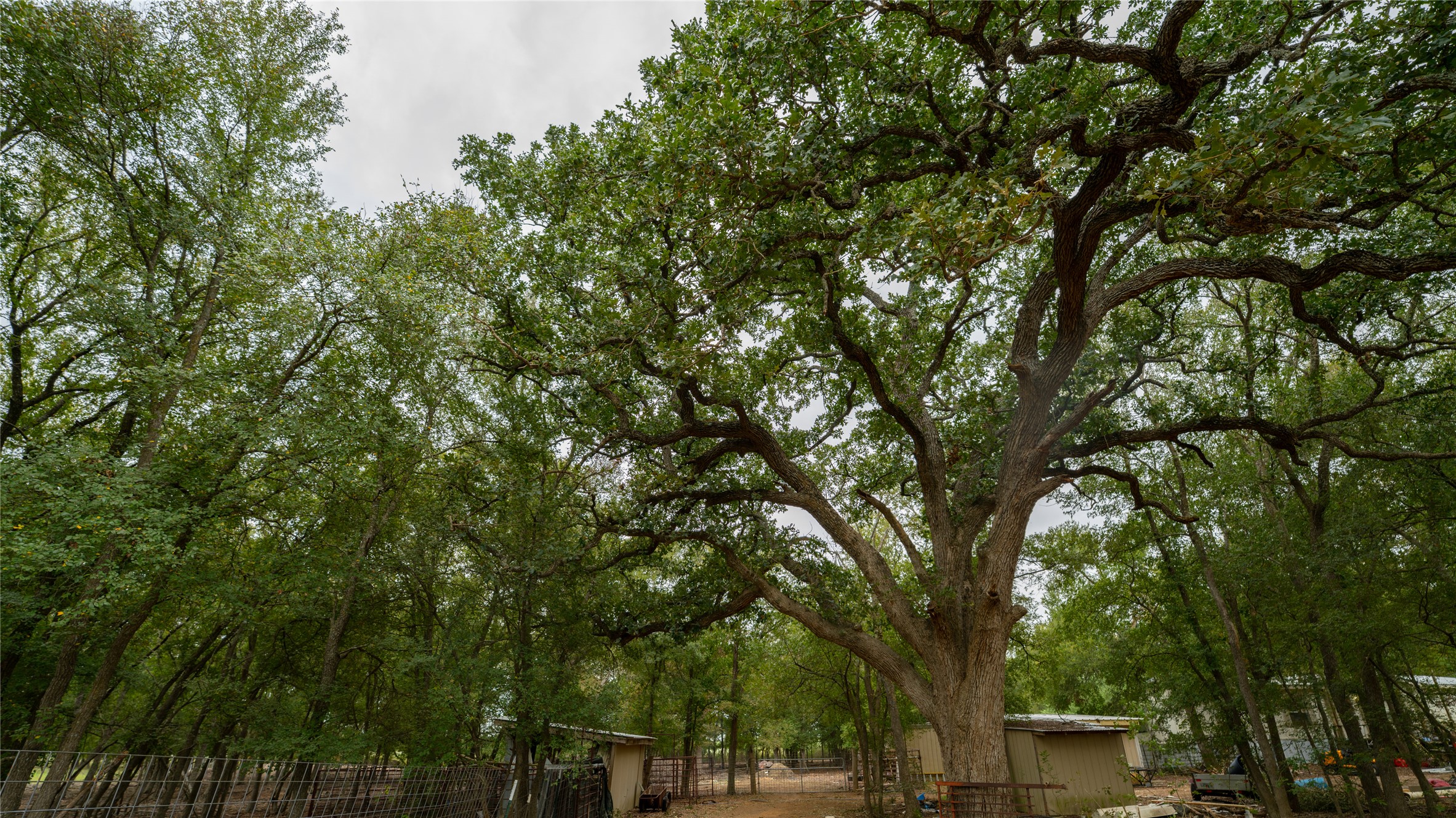 2348 County Road 404 Loop Bartlett, TX 76511 - Photo 13 of 40