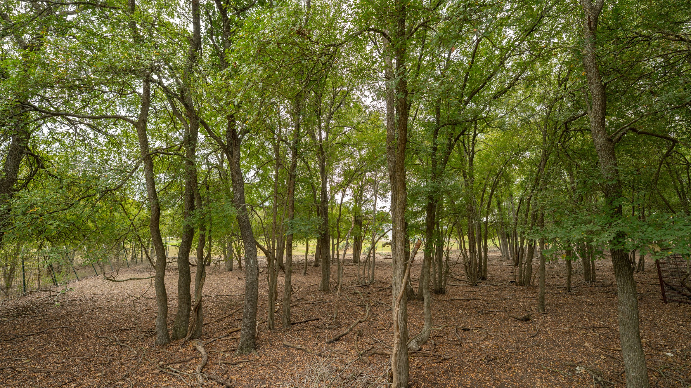 2348 County Road 404 Loop Bartlett, TX 76511 - Photo 14 of 40 View of undeveloped land