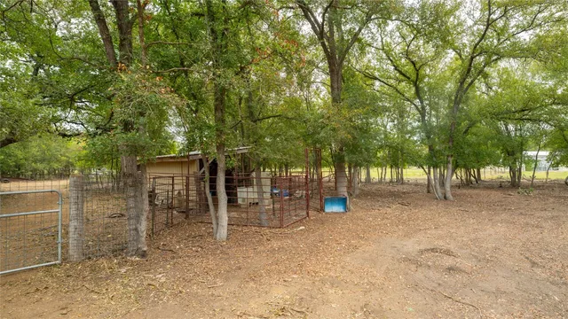 a view of outdoor space with deck and trees