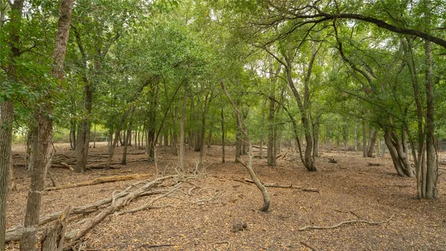 a backyard of a house with large trees